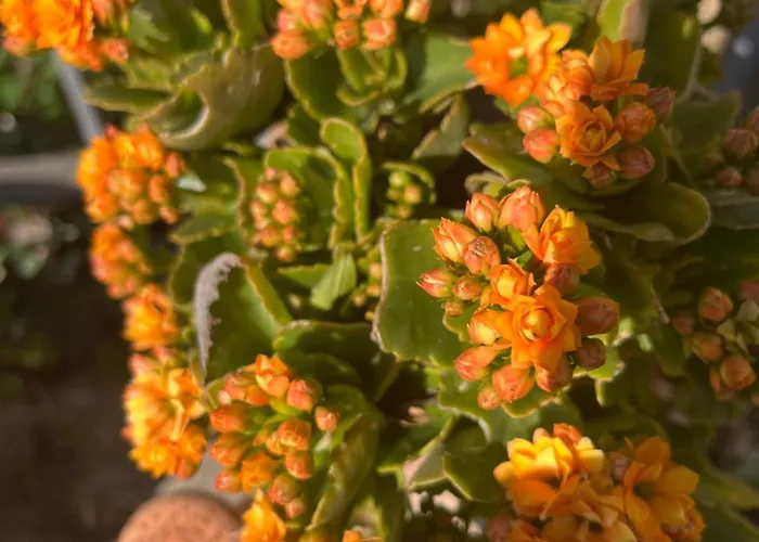 La Vista ゲストハウス